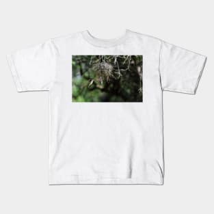 Spring is in the Air - Northern Beardless Tyrannulets Kids T-Shirt